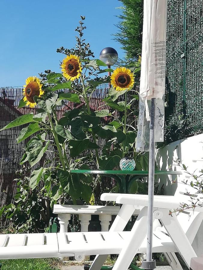 Apartamento Duplex Con Vistas Al Mar Los Girasoles Mogro Zewnętrze zdjęcie