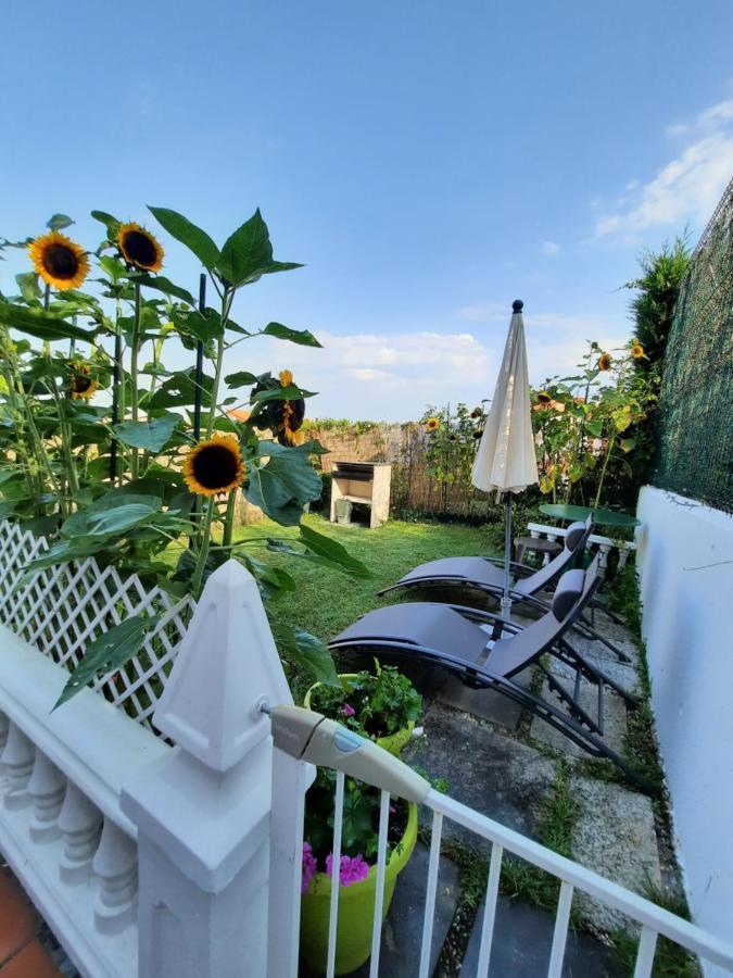 Apartamento Duplex Con Vistas Al Mar Los Girasoles Mogro Zewnętrze zdjęcie